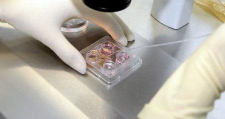 &ldquo;Uşaq bilmir ki, atası kimdir&rdquo; &ndash; Süni mayalanma ilə bağlı QORXUNC XƏBƏRDARLIQ