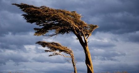 Bakıda və bölgələrdə külək güclənəcək &ndash; XƏBƏRDARLIQ