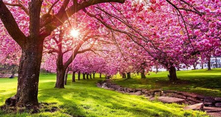 GÜNÜN HAVASI: 24 dərəcə isti olacaq