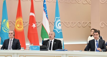 İlham Əliyev TDT Dövlət başçılarının Zirvə görüşündə - FOTO