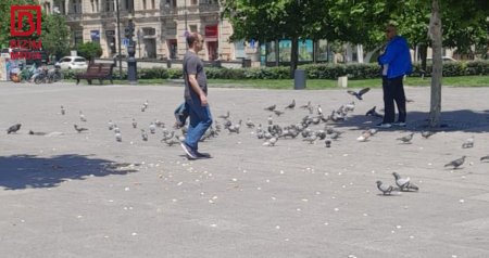 Göyərçinlərə qayğı, yoxsa çörəyə hörmətsizlik? &ndash; FOTOFAKT