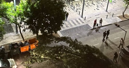 TƏCİLİ! Bakıda güclü külək ağacı avtomobilin üzərinə AŞIRDI &ndash; FOTO/VİDEO