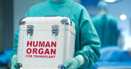 Sümük iliyi transplantasiyasına ehtiyacı olan xəstələrin SAYI AÇIQLANDI &ndash;RƏSMİ