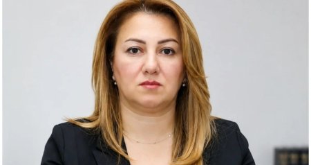 Yeni vəzifəyə təyin olunan Rəna Məmmədova kimdir?&ndash; DOSYE