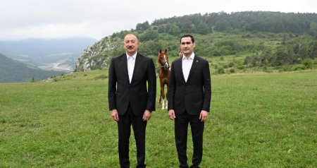 Türkmənistan Prezidentinə Qarabağ atı hədiyyə edildi - FOTO