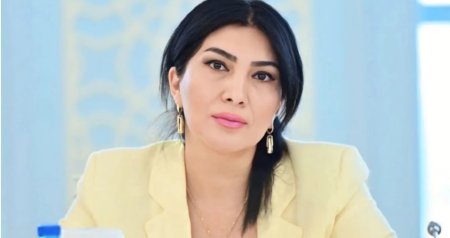&ldquo;İzləyici sayı peşəkarlığın ölçüsü deyil&rdquo; - Deputat saxta ekspertlərdən danışdı