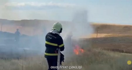 Qazaxın Aslanlı kəndində taxıl sahəsində yanğın oldu - VİDEO