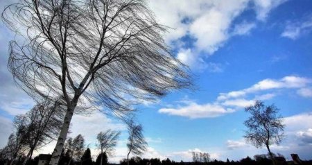 Bakıda və rayonlarda yenə güclü külək əsəcək – XƏBƏRDARLIQ Bakıda və rayonlarda yenə güclü külək əsəcək – XƏBƏRDARLIQ