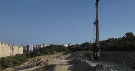 Şərurlu İsfəndiyarın şirkəti Sumqayıtda kütləvi ağac kəsimi QALMAQALINDA &ndash; VİDEO