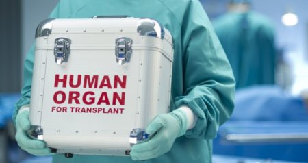 1400-dən çox xəstə GÖZLƏYİR - Azərbaycanda donor niyə tapılmır?
