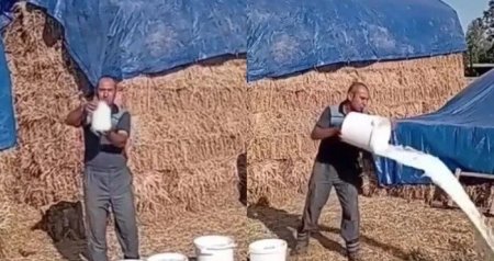 Yeni boykot üsulu: Satılmırsa, məhv et! &ndash; Şou, yoxsa haqq axtarışı?