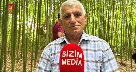 50 günə yetişdirdiyi ağacları biznesə çevirdi &ndash; Lənkəranlı fermerin bambuk &ldquo;meşəsi&rdquo; &ndash; FOTO