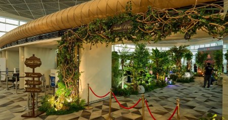 Bakı aeroportunda sərnişinlər üçün maraqlı əyləncə ZONASI &ndash; &ldquo;Tilsimli meşə&rdquo; - FOTO