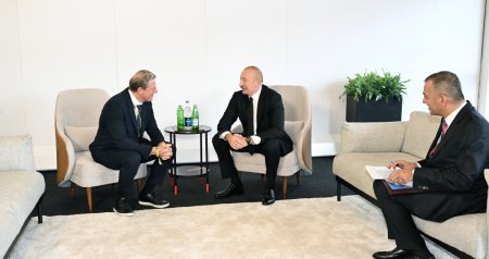 Prezident Aleksandr Oşpelt ilə görüşdü - FOTO