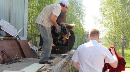 Danimarka hökuməti su samurlarını diri-diri yandırdı