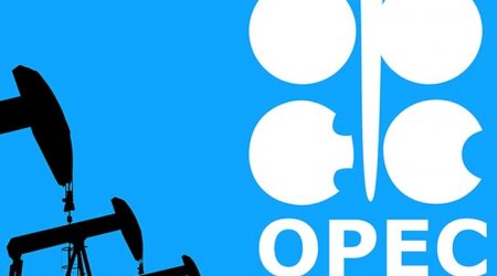 EKSPERT: “OPEC hasilat həcmini hələ dəyişməyəcək”