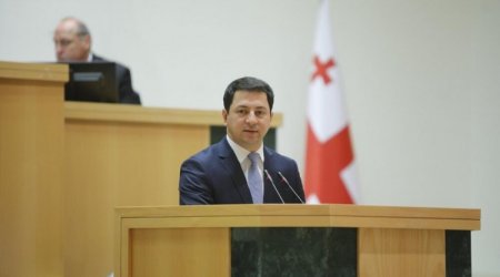 Gürcüstan parlamentinə yeni spiker seçildi