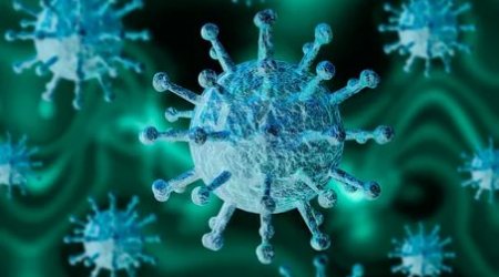 “Koronavirus bizə hələ çoxlu sürpizlər hazırlayıb” - EKSPERT