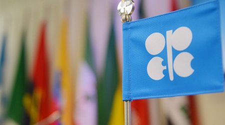 “OPEC+” ölkələrinin nazirlərinin 14-cü iclası olacaq – BU GÜN