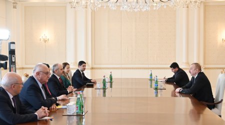 Prezident Türkiyə parlamentinin nümayəndə heyətini qəbul etdi - FOTO