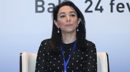 Ombudsman Türkiyədən gələn psixoloqlarla görüşdü