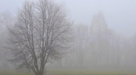 İsmayıllıda dağlar dumandı, yolu yamandı – FAKTİKİ HAVA