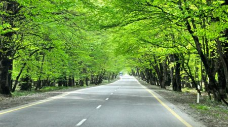 İsmayıllı-Qəbələ yolu bağlandı - FOTO