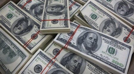 Deputatdan Elman Rüstəmova ÇAĞIRIŞ: “Dollar satışı məhdudiyyəti ilə bağlı tutarlı açıqlama versin”