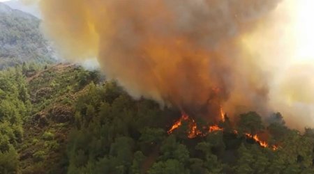 Türkiyədə 25 hektar meşə ərazisi yandı – 1 nəfər ölüb 