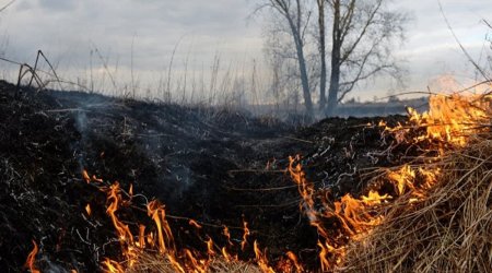 Füzulidə minalı meşə zolağında yanğın başladı SON DƏQİQƏ