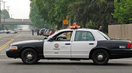 Los Angeles polisi 1,2 milyard dollarlıq marixuananı ələ keçirdi - Karteldə ermənilər də var  
