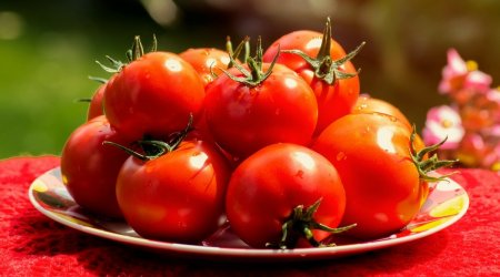 Pomidoru belə yemək ürəyə ziyandır – Professordan xəbərdarlıq