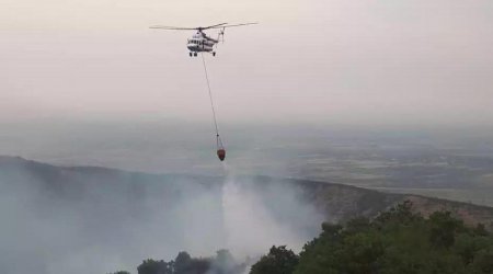 Türkiyədəki yanğınlarla bağlı son vəziyyət - FOTO