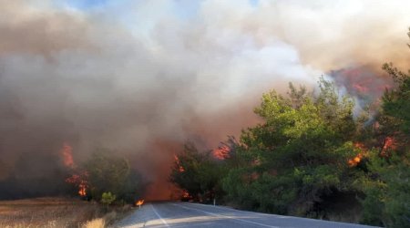 Türkiyədə 14 yerdə yanğın davam edir