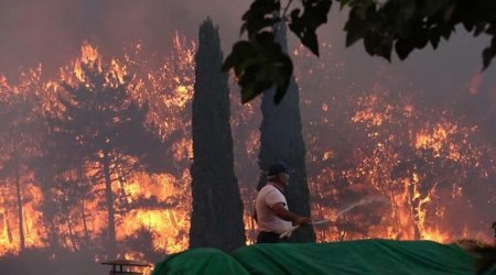 Türkiyədəki yanğınlarla bağlı son MƏLUMAT 