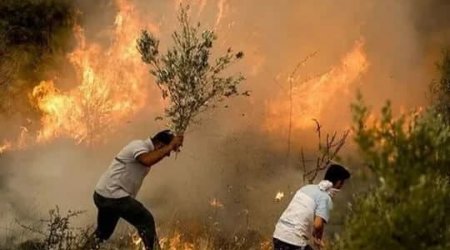 PKK-lının ETİRAFI: “Türkiyədə ağaclara təşkilatımızın əmrilə od vururlar”