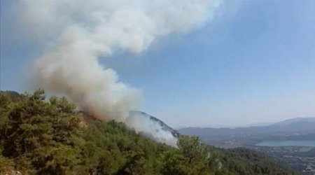 Türkiyənin Muğla vilayətində meşə yanğınları başladı - VİDEO