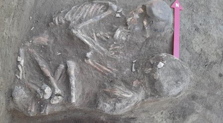Lələtəpədə neolit dövrünə aid tikintinin qalıqları aşkarlandı - FOTO