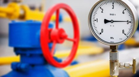 Avropada qazın qiyməti 1 gündə 13% qalxdı - TARİXİ REKORD