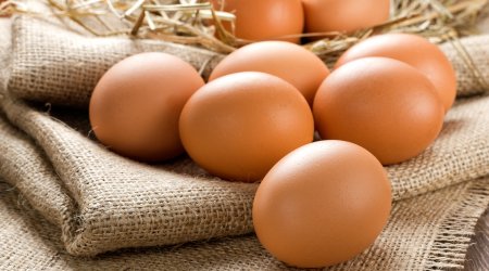 Yumurta niyə bahalaşıb? – SƏBƏBLƏR