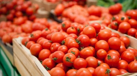 Rusiyaya pomidor ixracı icazəsi olan şirkətlərin sayı 205-ə çatdı