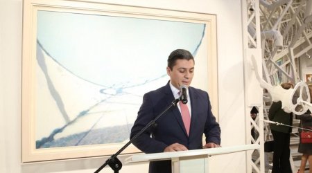 DTX əməliyyat keçirdi - Müasir İncəsənət Muzeyinin direktoru SAXLANILDI