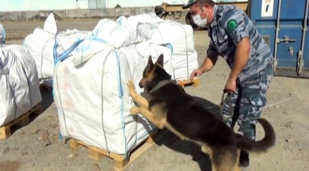 Yarım tondan çox heroin gömrükdə saxlanıldı