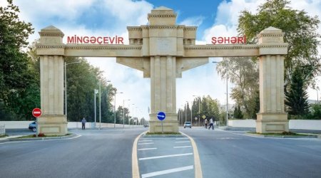 Güclü külək Mingəçevirdə fəsadlar törətdi: Bəzi ərazilərdə işıqlar sönüb - FOTO