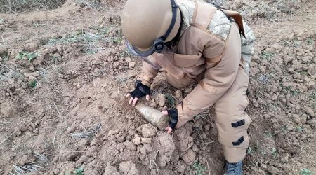 Azad edilən ərazilərdə son on gündə 342 mina tapıldı - VİDEO