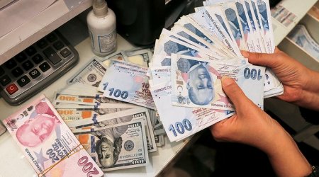 Türkiyədə 1 dollar 14 lirəyə bərabər oldu - Növbəti antirekord