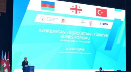 Azərbaycan-Türkiyə-Gürcüstan biznes forumu başladı - FOTO