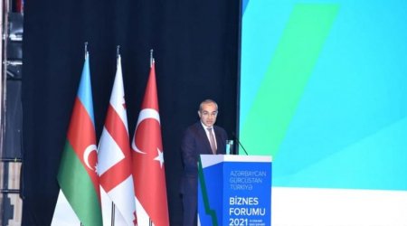 “Bu il Azərbaycanın ÜDM-nin dəyəri 50 milyard dolları keçəcək” - Mikayıl Cabbarov