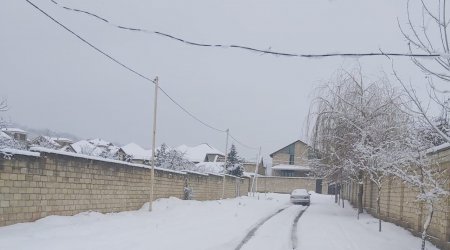 Şimal bölgəsinə yeni ilin ilk qarı yağdı - FOTO