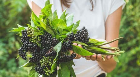 İnfeksiyalardan qoruyan məhsulun adı açıqlandı